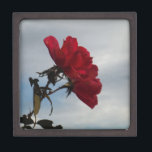 Coffret A Bijoux Roses rouges contre un ciel bleu vif<br><div class="desc">Red Roses Against a Bright Blue Sky Photo de Sandy Closs,  prise au lac Arrowhead. Valentines, " Saint Valentin"rose rouge""roses rouges""rose rose""roses roses""mariages""cadeau d'amour""fleur rouge""fleurs rouges""fleurs rouges""fleurs rouges" rouge bleu rose "cadeaux aux roses"</div>