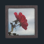 Coffret A Bijoux Roses rouges contre un ciel bleu vif<br><div class="desc">Red Roses Against a Bright Blue Sky Photo de Sandy Closs,  prise au lac Arrowhead. Valentines, " Saint Valentin"rose rouge""roses rouges""rose rose""roses roses""mariages""cadeau d'amour""fleur rouge""fleurs rouges""fleurs rouges""fleurs rouges" rouge bleu rose "cadeaux aux roses"</div>