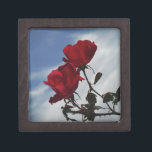 Coffret A Bijoux Roses rouges contre un ciel bleu vif<br><div class="desc">Red Roses Against a Bright Blue Sky Photo de Sandy Closs,  prise au lac Arrowhead. "rose rouge""roses rouges""rose rose""roses roses""mariages""cadeau d'amour""fleur rouge""fleurs rouges""fleurs rouges" rouge bleu rose "cadeaux aux roses"</div>