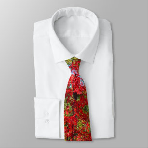 Col cravate feuilles d'automne pour hommes