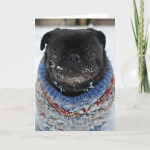 Cold Puggy dans la carte de voeux d'anniversaire d