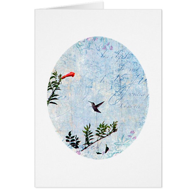 Colibri (Devant)