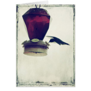 Colibri 2