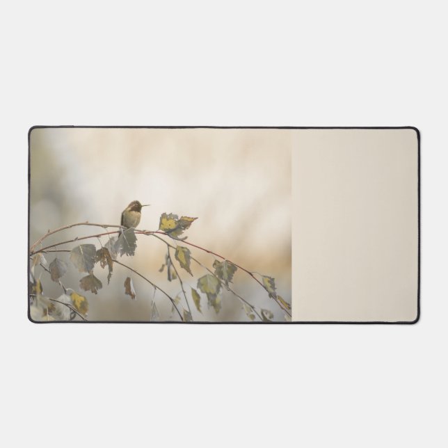 Colibri 5265 (Recto)