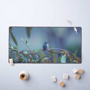 Colibri 5738