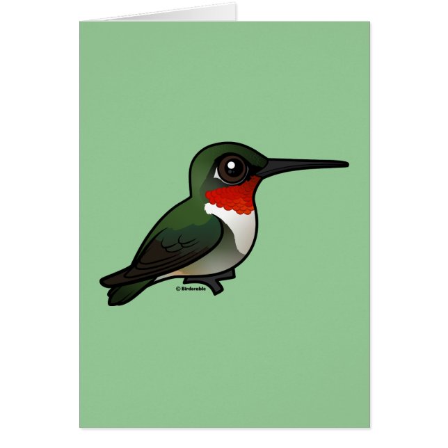 Colibri à gorge rubis (Devant)
