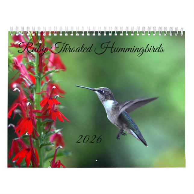 Colibri à gorge rubis Calendrier 2026 (Protection)