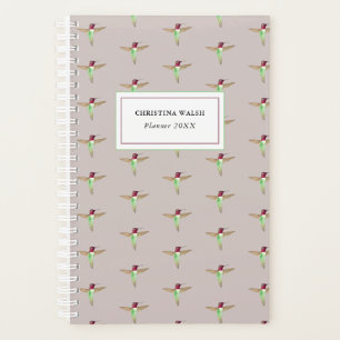 Colibri d'Anna