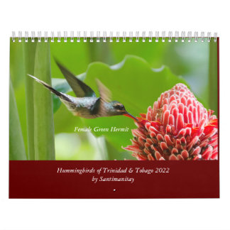 Colibri de Trinité-et-Tobago Calendrier 2022