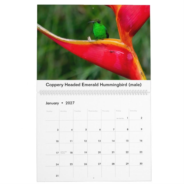 Colibri du Costa Rica Calendrier (Jan 2027)
