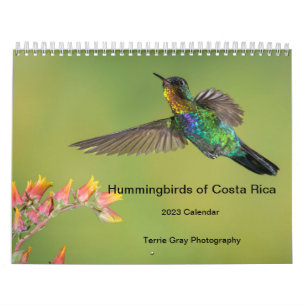 Colibri du Costa Rica Calendrier