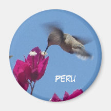 Colibri du Pérou Magnet
