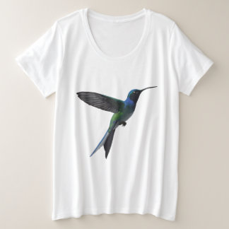 Colibri élégant