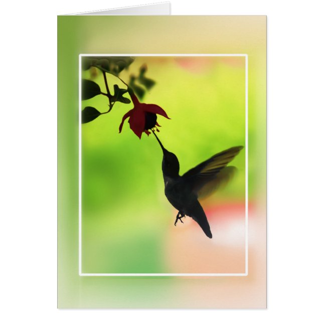 Colibri En Silhouette (Devant)