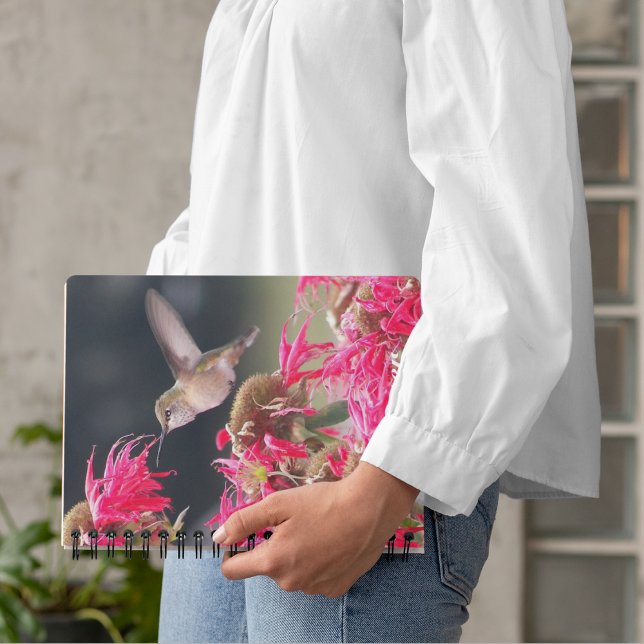 Colibri en vol (In Situ)