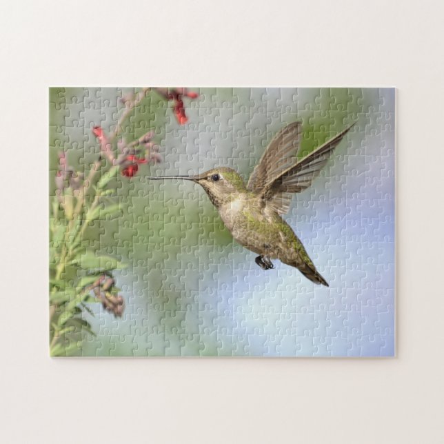 Colibri en vol avec puzzle à fleurs (Horizontal)