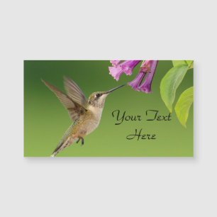 Colibri Et Carte de visite Magnétique Fleur