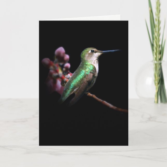 Colibri et Fleur pensent à votre carte (Devant)