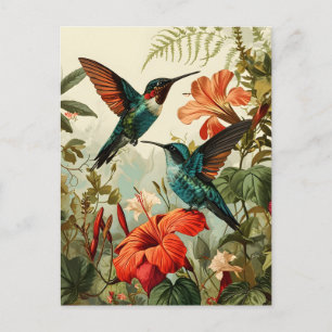 Colibri et fleurs : Carte postale Vintage
