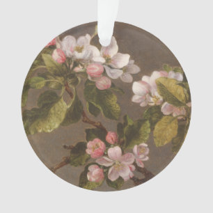 Colibri et fleurs d'Apple