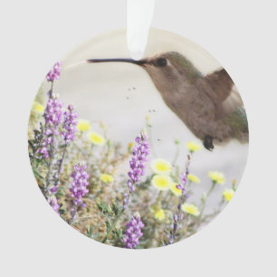 Colibri et fleurs sauvages Art numérique