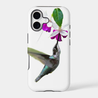 Colibri et Fuschia