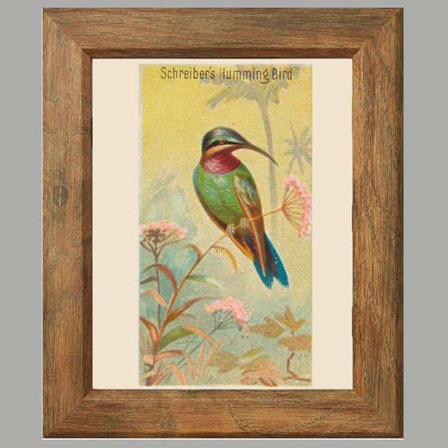 Colibri, Galerie Wall Art Set 6, 5/6 Poster (Créateur téléchargé)