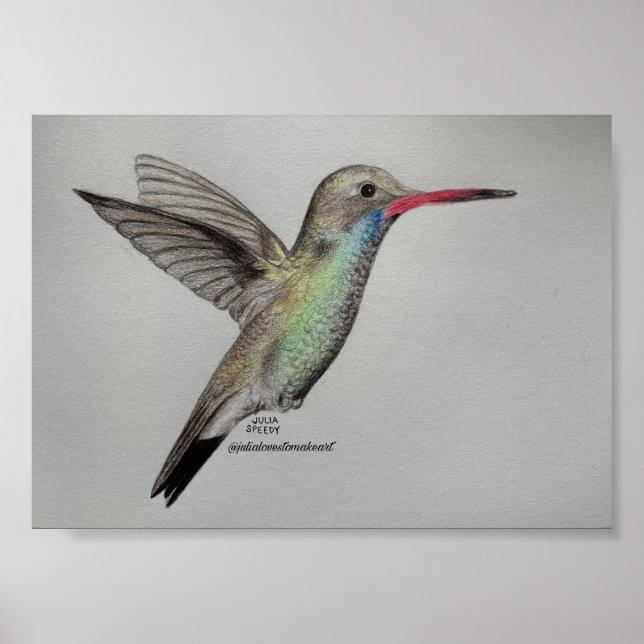 Colibri - Impression (Devant)