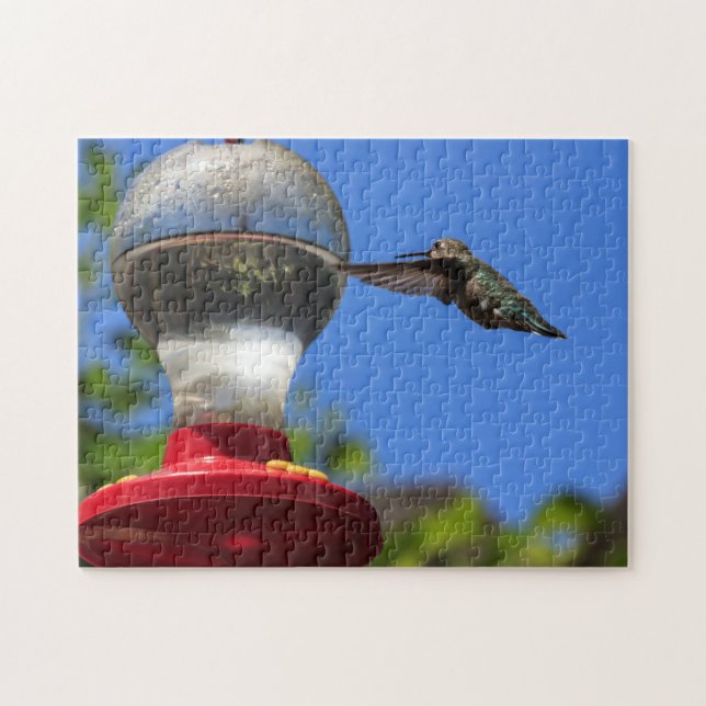 Colibri inspectant un puzzle de conducteur (Horizontal)