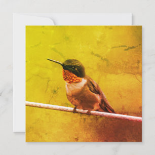 Colibri Merci