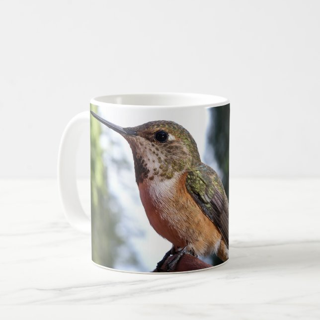Colibri roux femelle - Mugs (Devant gauche)