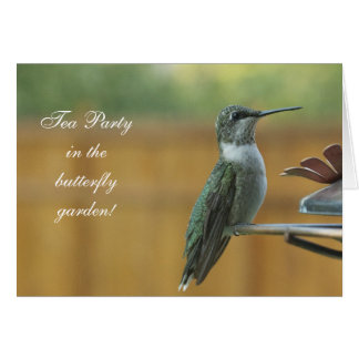 Colibri Ruby Throsé