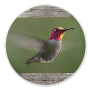 Colibri sur les boutons en céramique et les