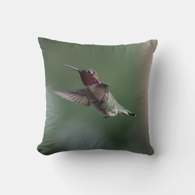 Colibri sur un coussin avec dire d'Apache (Recto)