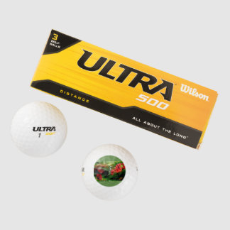 Colibri sur une balle de golf