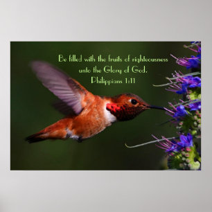 Colibri vers de la bible Philippians 1:11 Poster