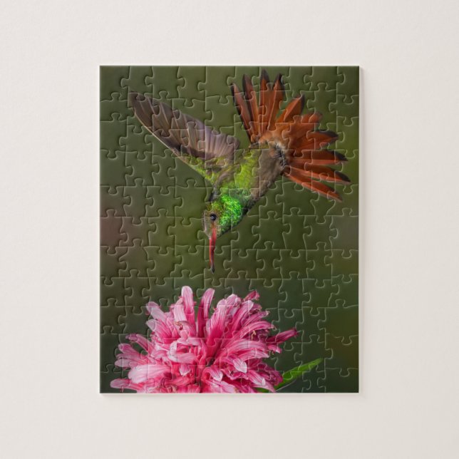 Colibri vert et puzzle de fleurs (Vertical)
