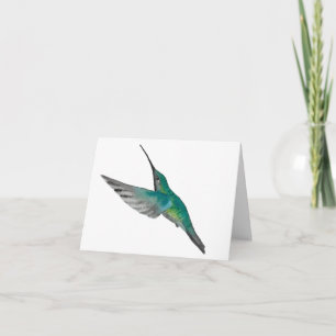 Colibri vert turquoise