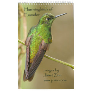 Colibris de calendrier de l'Equateur