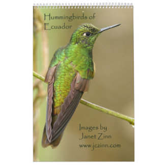 Colibris de calendrier de l'Equateur
