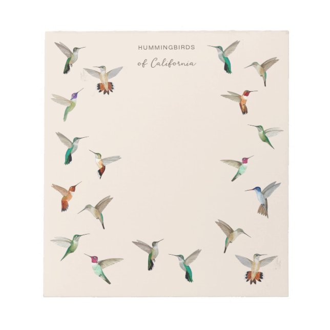 Colibris de Californie  Bloc-notes (Devant)