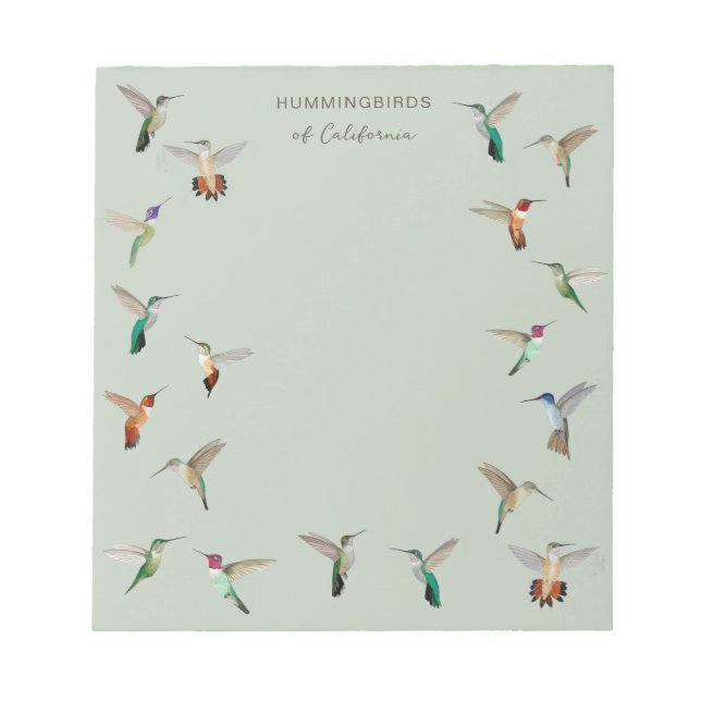 Colibris de Californie  Bloc-notes (Devant)