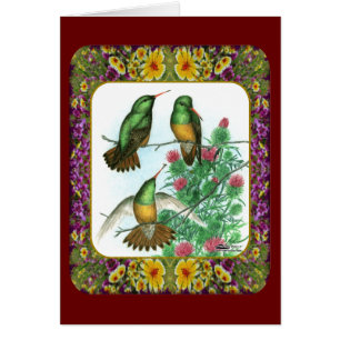 Colibris et fleurs #1