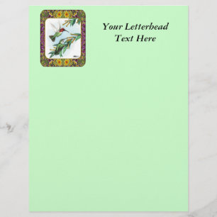 Colibris et Fleurs #4