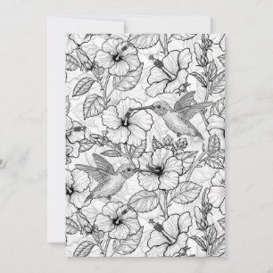 Colibris et fleurs d'hibiscus b&w