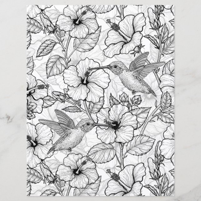 Colibris et fleurs d'hibiscus b&w (Devant)