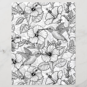Colibris et fleurs d'hibiscus b&w