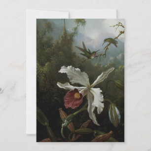 Colibris et Orchidée blanche de Martin J. Heade