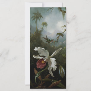 Colibris et Orchidée blanche de Martin J. Heade