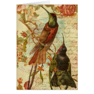 Colibris et Roses Toutes les occasions